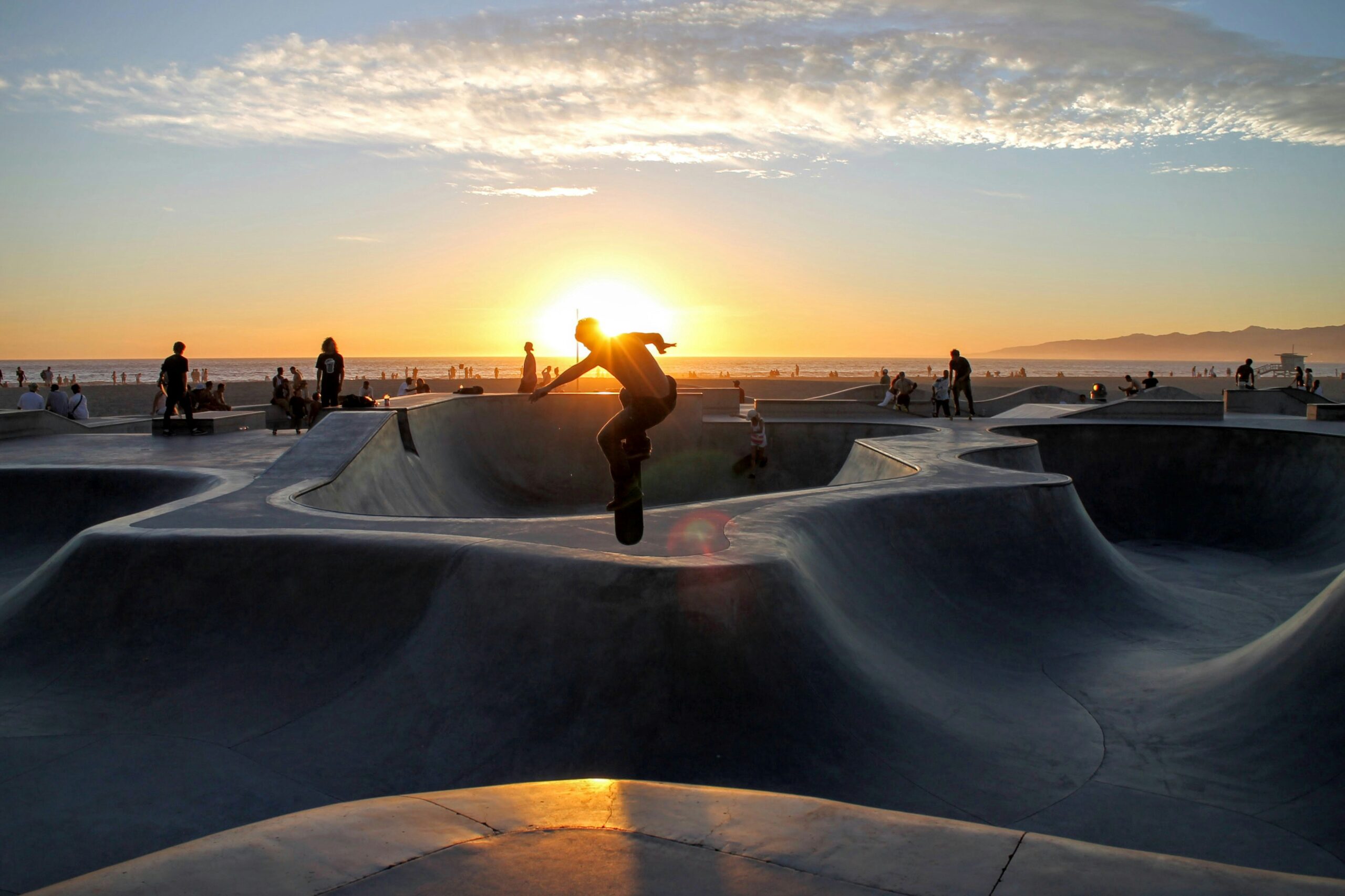 Dogtown CBD | Superior Hemp Wellness in Venice CA